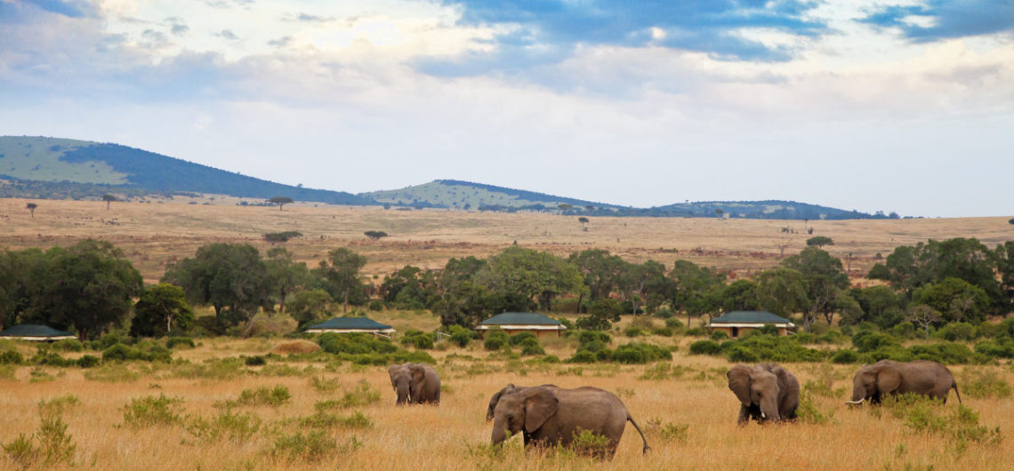 Safari Holidays in Tanzania